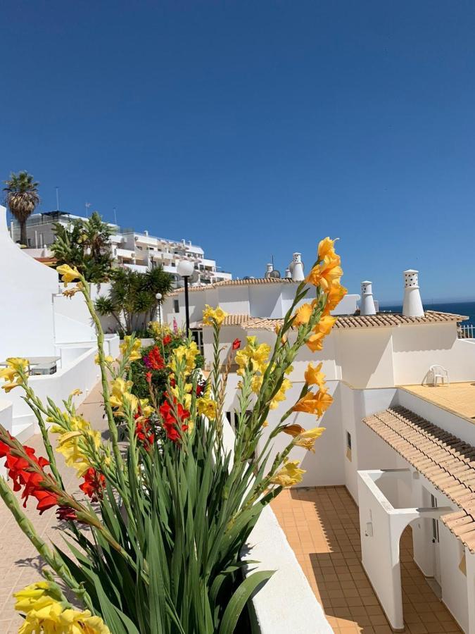 Cerro Branco Appartement